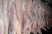 Говядина 1 категории (корова) в полутушах на кости замороженная 890тг Павлодар
